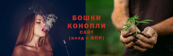 бошки Алексин