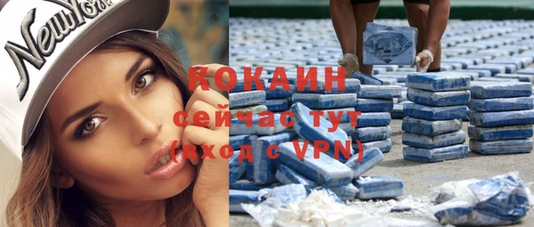 ПСИЛОЦИБИНОВЫЕ ГРИБЫ Абаза