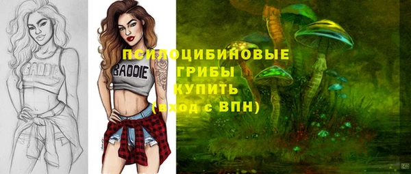 твердый Абинск