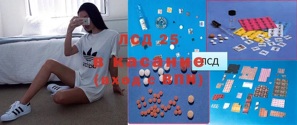 ПСИЛОЦИБИНОВЫЕ ГРИБЫ Абаза