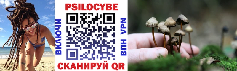 продажа наркотиков  Галич  Галлюциногенные грибы Psilocybe 